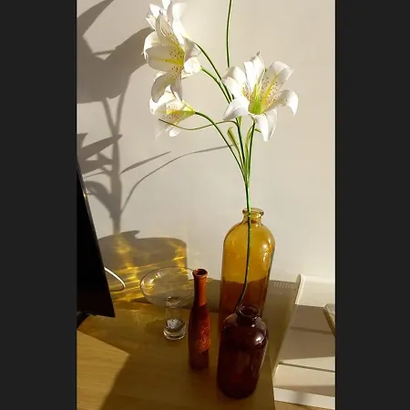 Apartment Moderne 2 Chambres, 2 Salles D'eau, Face Mer, Parking, Proche Commerces, St Jean De Monts - Fr-1-323-276 *