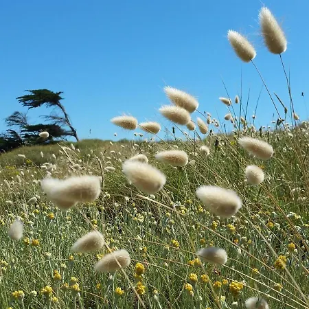 Superbe Moderne 2 Vue Mer, 2 Salles D'eau, Parking, Animaux Admis - Fr-1-323-276 Apartament