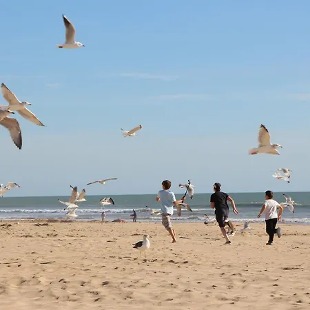 Apartament Superbe Moderne 2 Vue Mer, 2 Salles D'eau, Parking, Animaux Admis - Fr-1-323-276