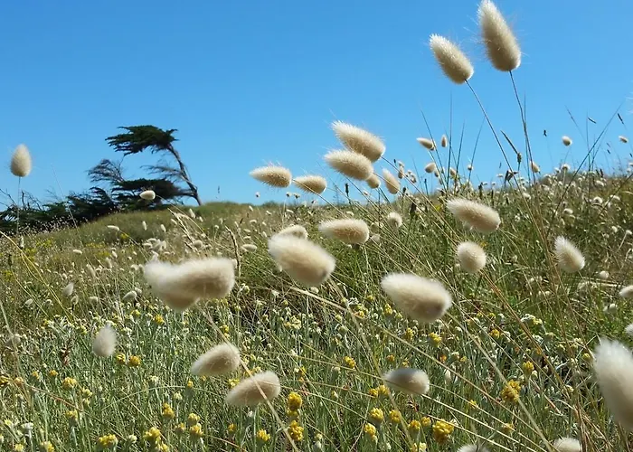 Superbe Moderne 2 Vue Mer, 2 Salles D'eau, Parking, Animaux Admis - Fr-1-323-276 דירה