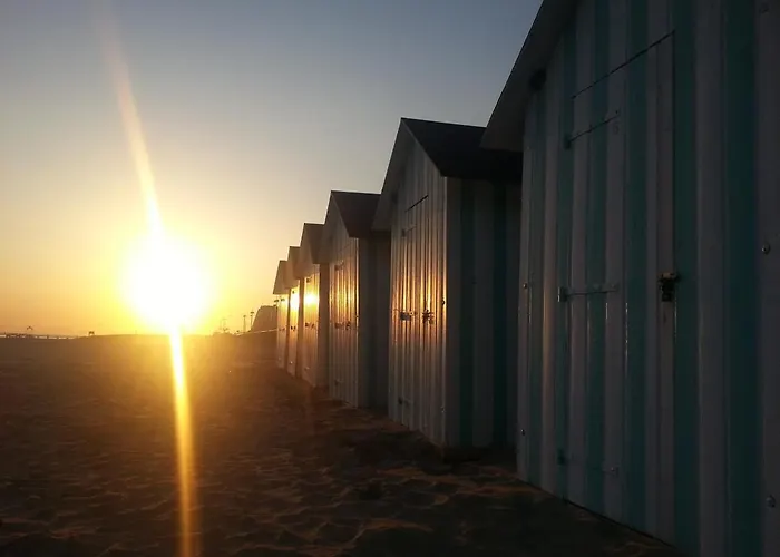 Superbe Moderne 2 Vue Mer, 2 Salles D'eau, Parking, Animaux Admis - Fr-1-323-276 דירה סן ז'אן דה מון