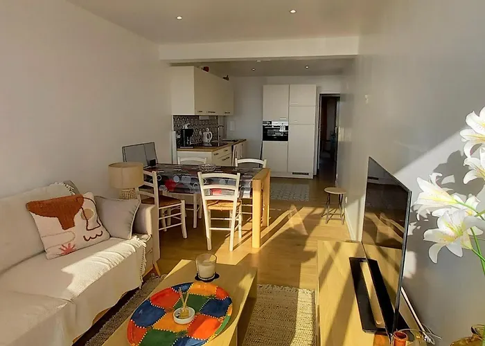 Superbe Moderne 2 Vue Mer, 2 Salles D'eau, Parking, Animaux Admis - Fr-1-323-276 *